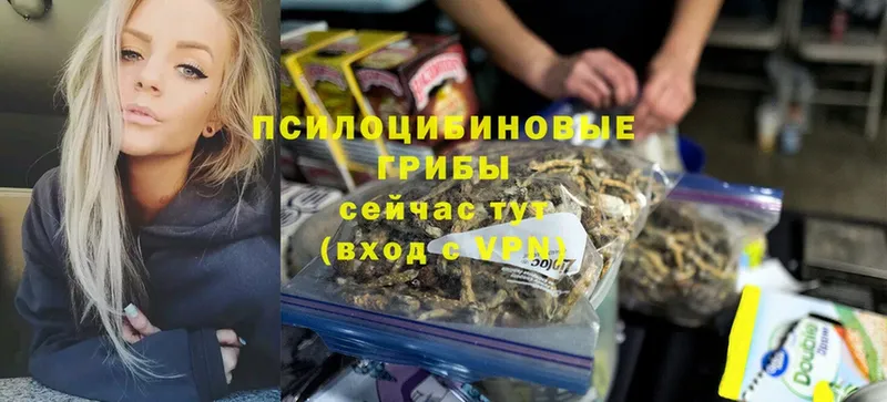 Псилоцибиновые грибы Psilocybe  мега рабочий сайт  Рыбинск  закладка 